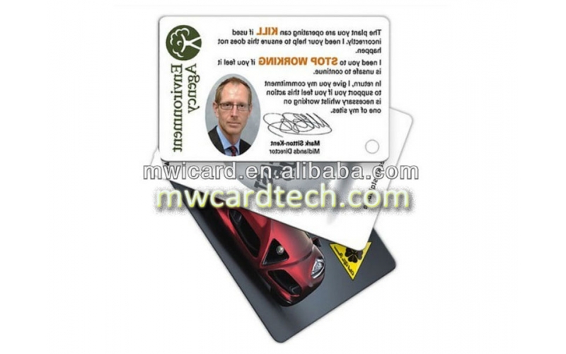 Access Control/Time Attendance/Identificaion Fashionable Cheap Price PVC Smart RFID Card 